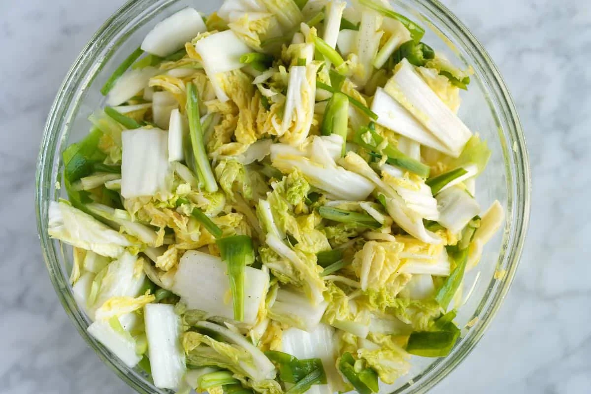 Massage du sel entre les feuilles de chou chinois pour le saumurage