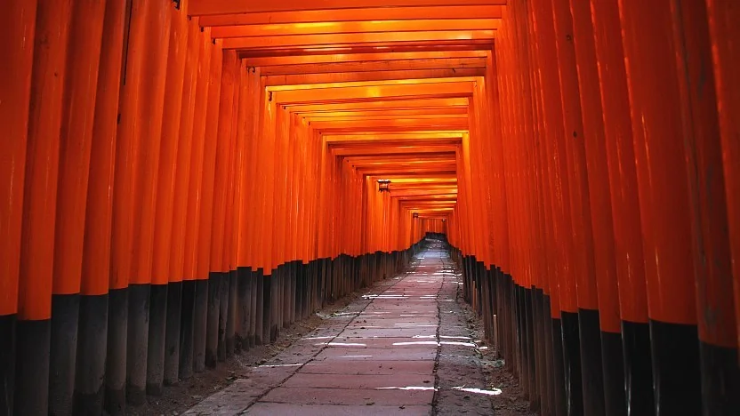 Les milliers de portails torii vermillon du sanctuaire Fushimi Inari à Kyoto