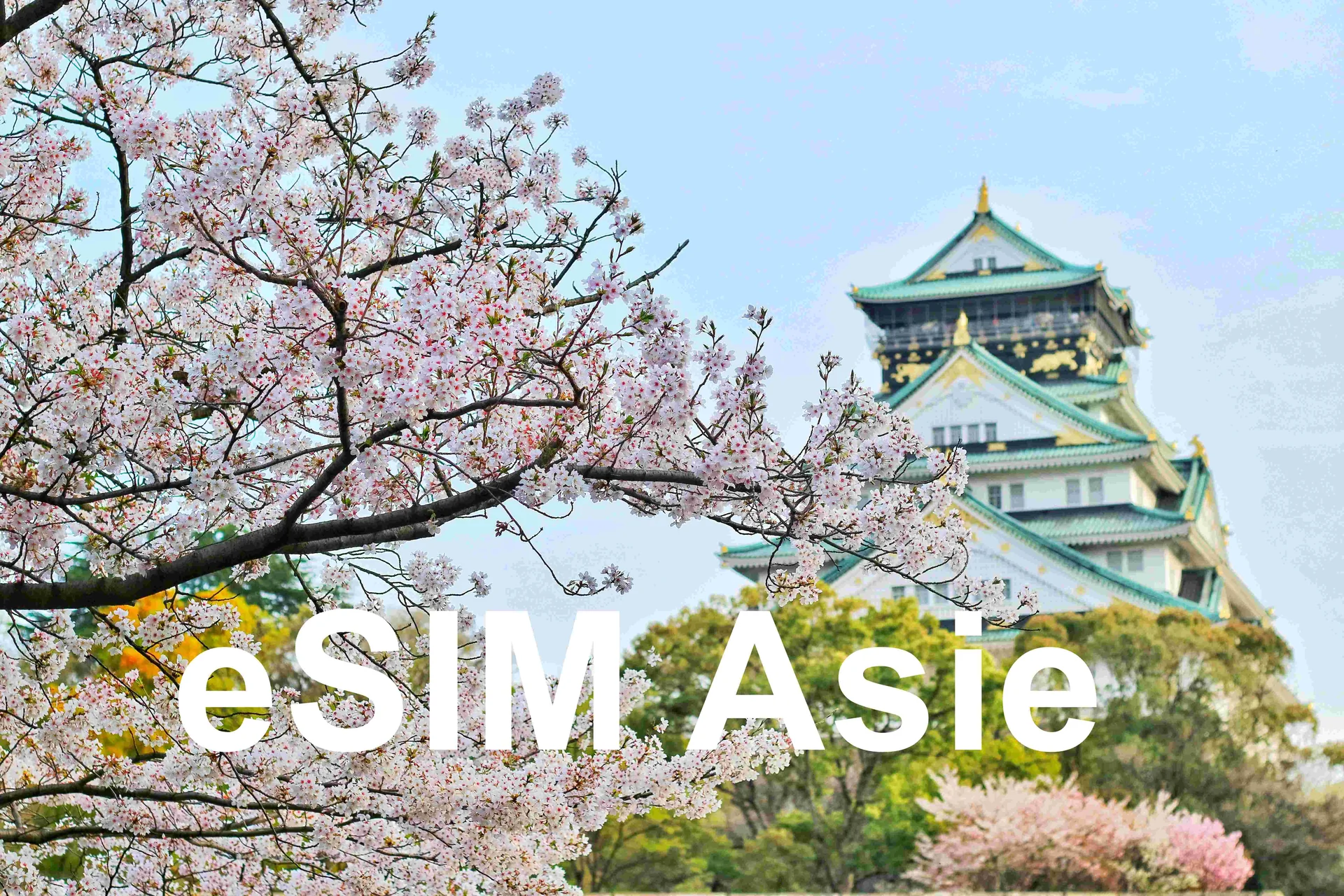 Comparatif des forfaits eSIM Asie Trip.com pour le Japon et la Corée