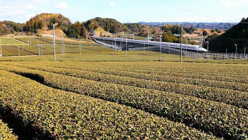 Tasse de thé vert japonais traditionnel avec pâtisserie