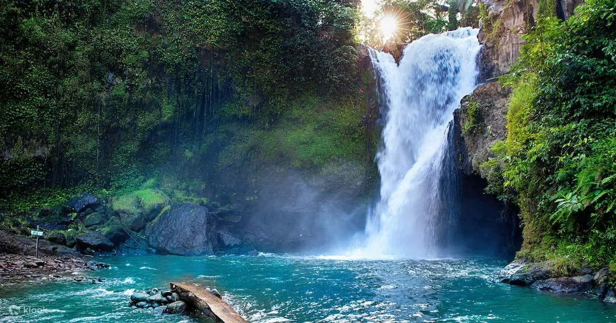 La puissante cascade de Tegenungan entourée par la jungle tropicale de Ubud