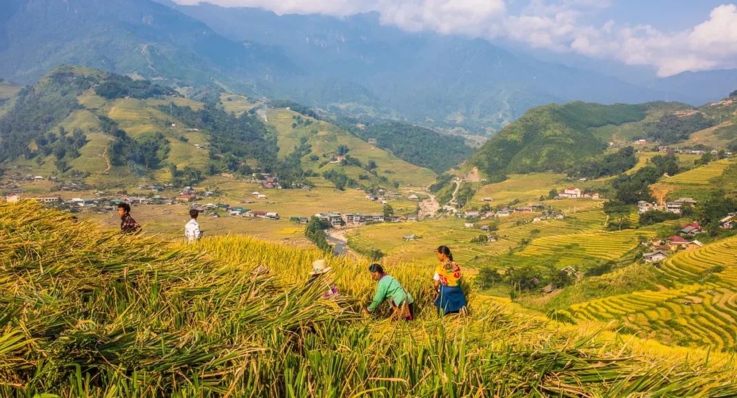 sapa vietnam - Sapa Vietnam : Trek et Rizières — Guide Pratique