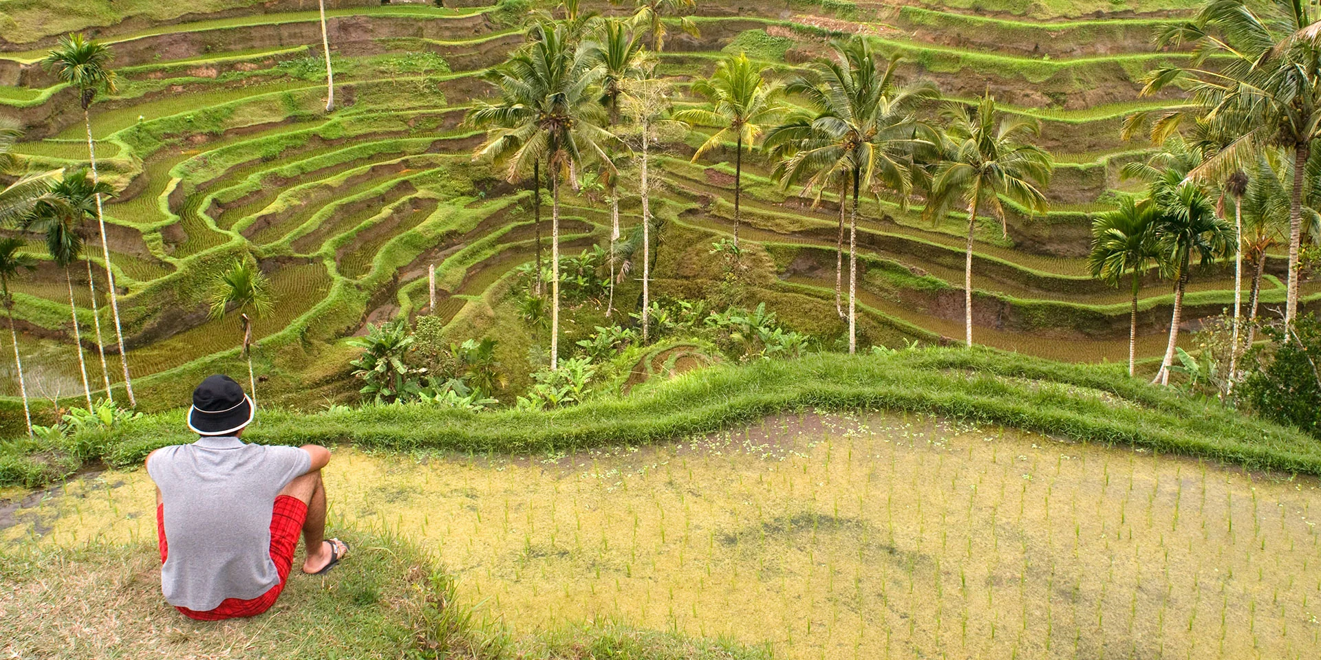 Touriste conduisant un scooter dans les rizières pour son itinéraire bali 10 jours
